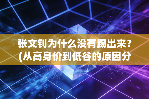 张文钊为什么没有踢出来？(从高身价到低谷的原因分析)