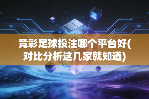 竞彩足球投注哪个平台好(对比分析这几家就知道)