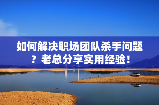 如何解决职场团队杀手问题？老总分享实用经验！