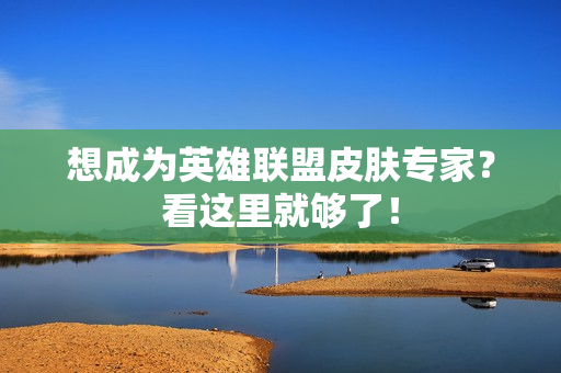 想成为英雄联盟皮肤专家？看这里就够了！