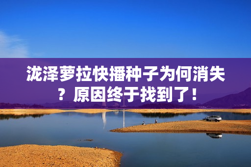 泷泽萝拉快播种子为何消失？原因终于找到了！