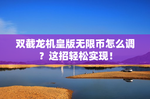 双截龙机皇版无限币怎么调？这招轻松实现！