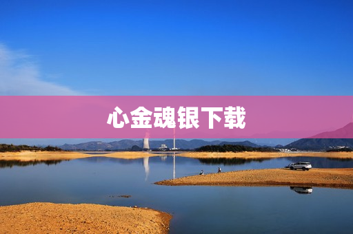 心金魂银下载