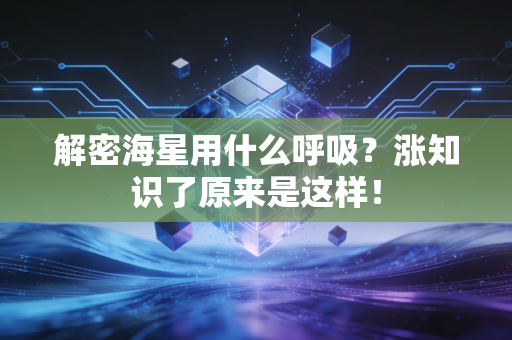 解密海星用什么呼吸？涨知识了原来是这样！