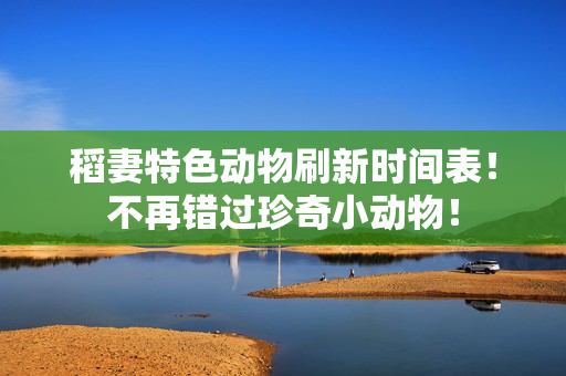 稻妻特色动物刷新时间表！不再错过珍奇小动物！