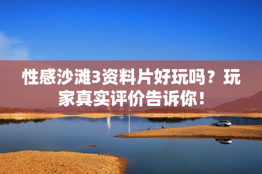 性感沙滩3资料片好玩吗？玩家真实评价告诉你！