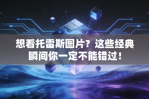想看托雷斯图片？这些经典瞬间你一定不能错过！