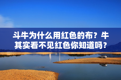 斗牛为什么用红色的布？牛其实看不见红色你知道吗？
