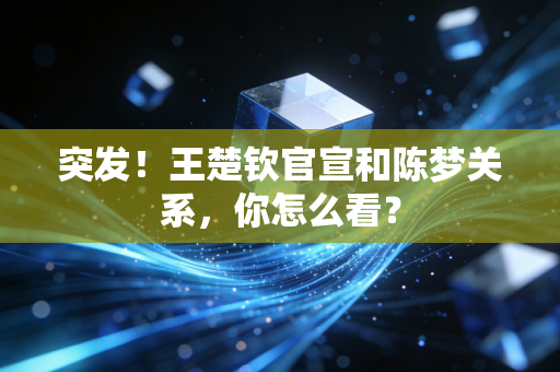 突发！王楚钦官宣和陈梦关系，你怎么看？
