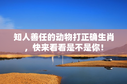 知人善任的动物打正确生肖，快来看看是不是你！