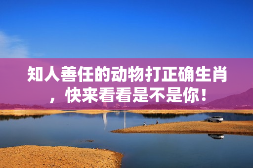 知人善任的动物打正确生肖，快来看看是不是你！