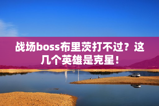 战场boss布里茨打不过？这几个英雄是克星！