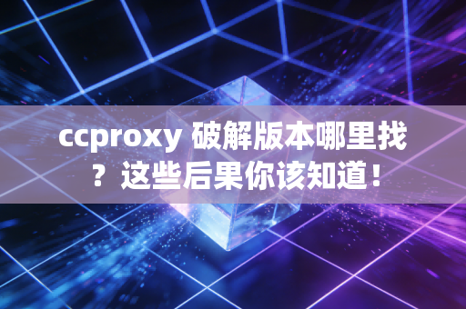 ccproxy 破解版本哪里找？这些后果你该知道！