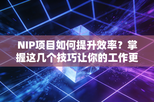 NIP项目如何提升效率？掌握这几个技巧让你的工作更顺畅！