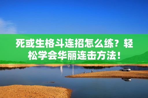 死或生格斗连招怎么练？轻松学会华丽连击方法！