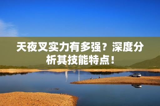 天夜叉实力有多强？深度分析其技能特点！
