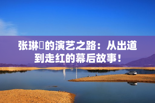 张琳苖的演艺之路：从出道到走红的幕后故事！