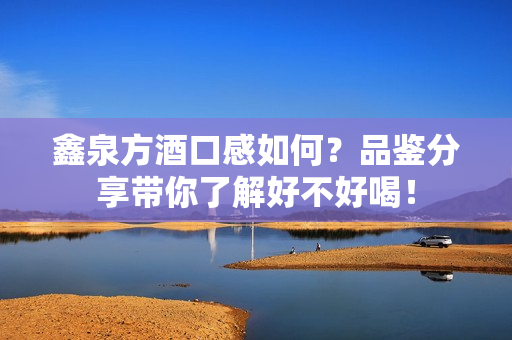 鑫泉方酒口感如何？品鉴分享带你了解好不好喝！