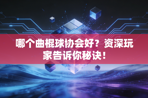 哪个曲棍球协会好？资深玩家告诉你秘诀！