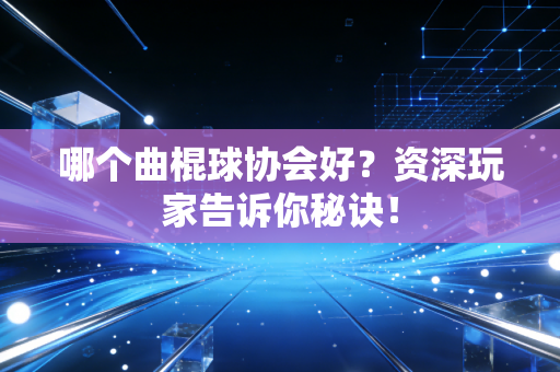 哪个曲棍球协会好？资深玩家告诉你秘诀！
