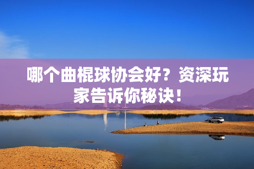 哪个曲棍球协会好？资深玩家告诉你秘诀！