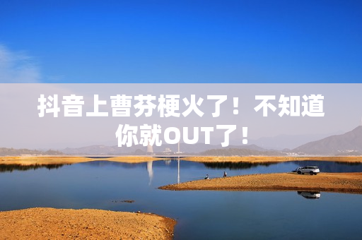 抖音上曹芬梗火了！不知道你就OUT了！
