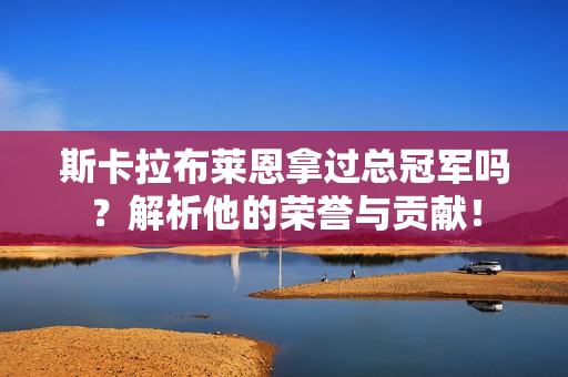 斯卡拉布莱恩拿过总冠军吗？解析他的荣誉与贡献！