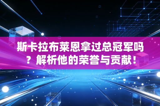 斯卡拉布莱恩拿过总冠军吗？解析他的荣誉与贡献！