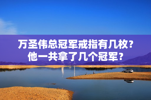 万圣伟总冠军戒指有几枚？他一共拿了几个冠军？