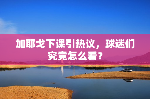 加耶戈下课引热议，球迷们究竟怎么看？