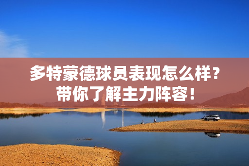 多特蒙德球员表现怎么样？带你了解主力阵容！