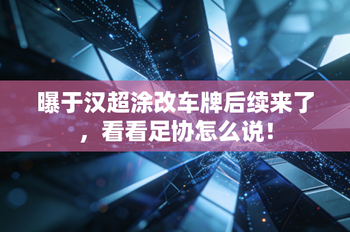 曝于汉超涂改车牌后续来了，看看足协怎么说！