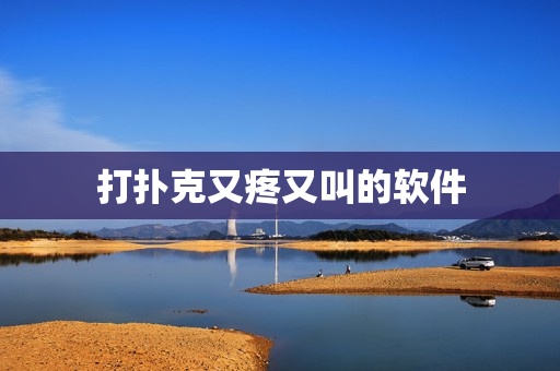 打扑克又疼又叫的软件