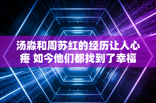 汤淼和周苏红的经历让人心疼 如今他们都找到了幸福！