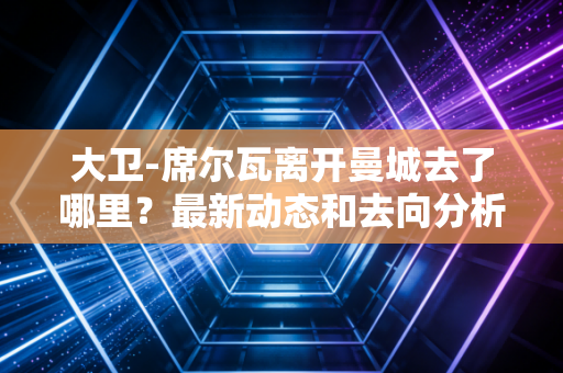 大卫-席尔瓦离开曼城去了哪里？最新动态和去向分析！