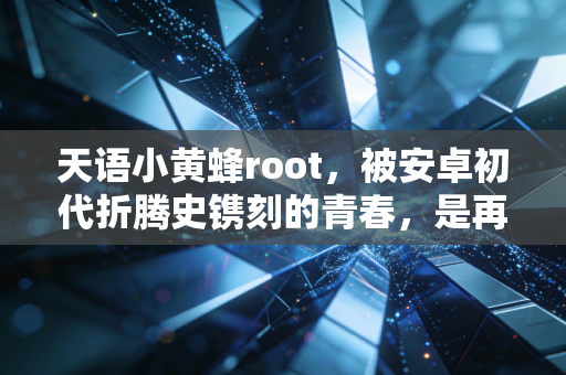 天语小黄蜂root，被安卓初代折腾史镌刻的青春，是再也回不去的数码浪漫