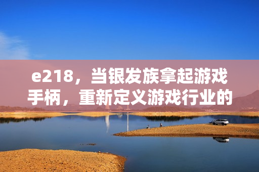 e218，当银发族拿起游戏手柄，重新定义游戏行业的新蓝海
