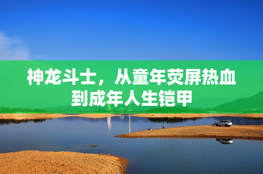 神龙斗士，从童年荧屏热血到成年人生铠甲