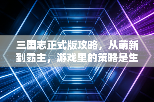三国志正式版攻略，从萌新到霸主，游戏里的策略是生活的缩影
