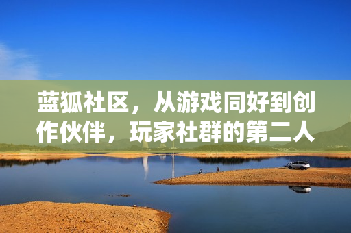 蓝狐社区，从游戏同好到创作伙伴，玩家社群的第二人生栖息地