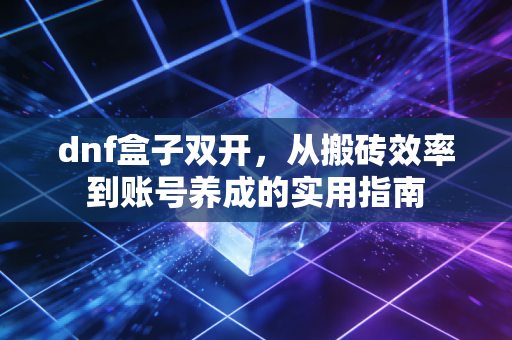 dnf盒子双开，从搬砖效率到账号养成的实用指南
