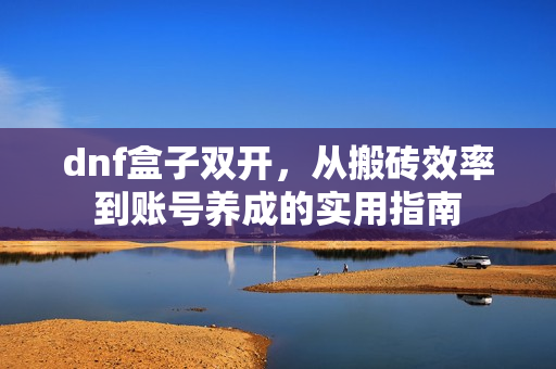 dnf盒子双开，从搬砖效率到账号养成的实用指南