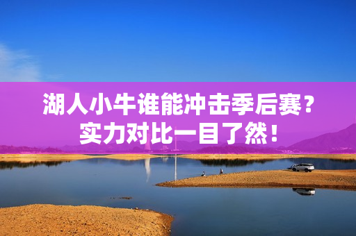 湖人小牛谁能冲击季后赛？实力对比一目了然！