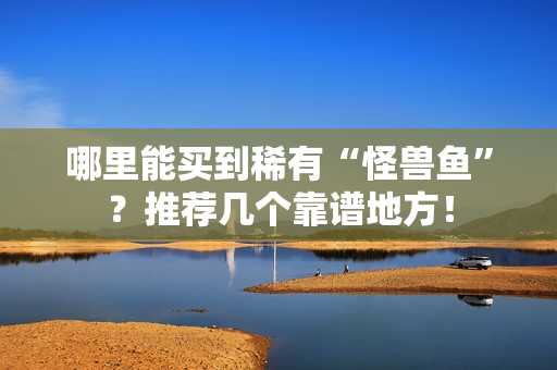 哪里能买到稀有“怪兽鱼”？推荐几个靠谱地方！