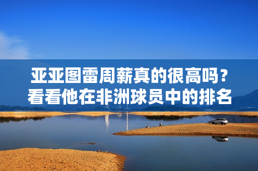 亚亚图雷周薪真的很高吗？看看他在非洲球员中的排名