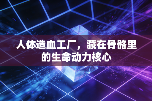 人体造血工厂，藏在骨骼里的生命动力核心
