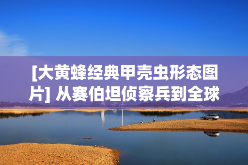 [大黄蜂经典甲壳虫形态图片] 从赛伯坦侦察兵到全球伙伴，大黄蜂的跨次元热血进化史