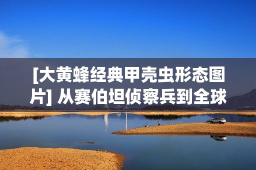 [大黄蜂经典甲壳虫形态图片] 从赛伯坦侦察兵到全球伙伴，大黄蜂的跨次元热血进化史