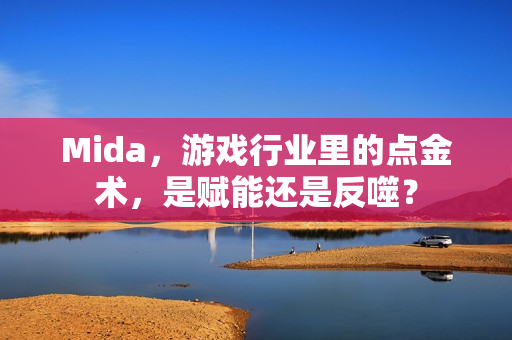 Mida，游戏行业里的点金术，是赋能还是反噬？