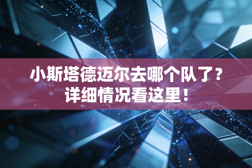 小斯塔德迈尔去哪个队了？详细情况看这里！